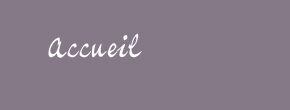 Accueil